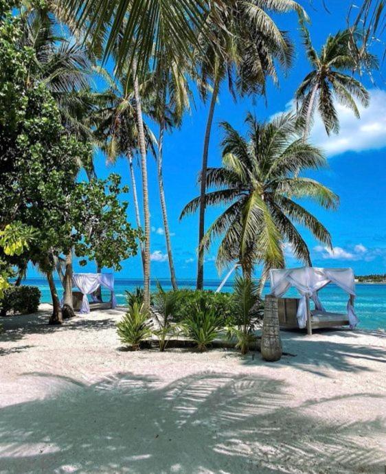 Samura Maldives Guest House Thulusdhoo Exterior foto