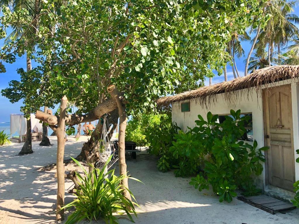Samura Maldives Guest House Thulusdhoo Exterior foto