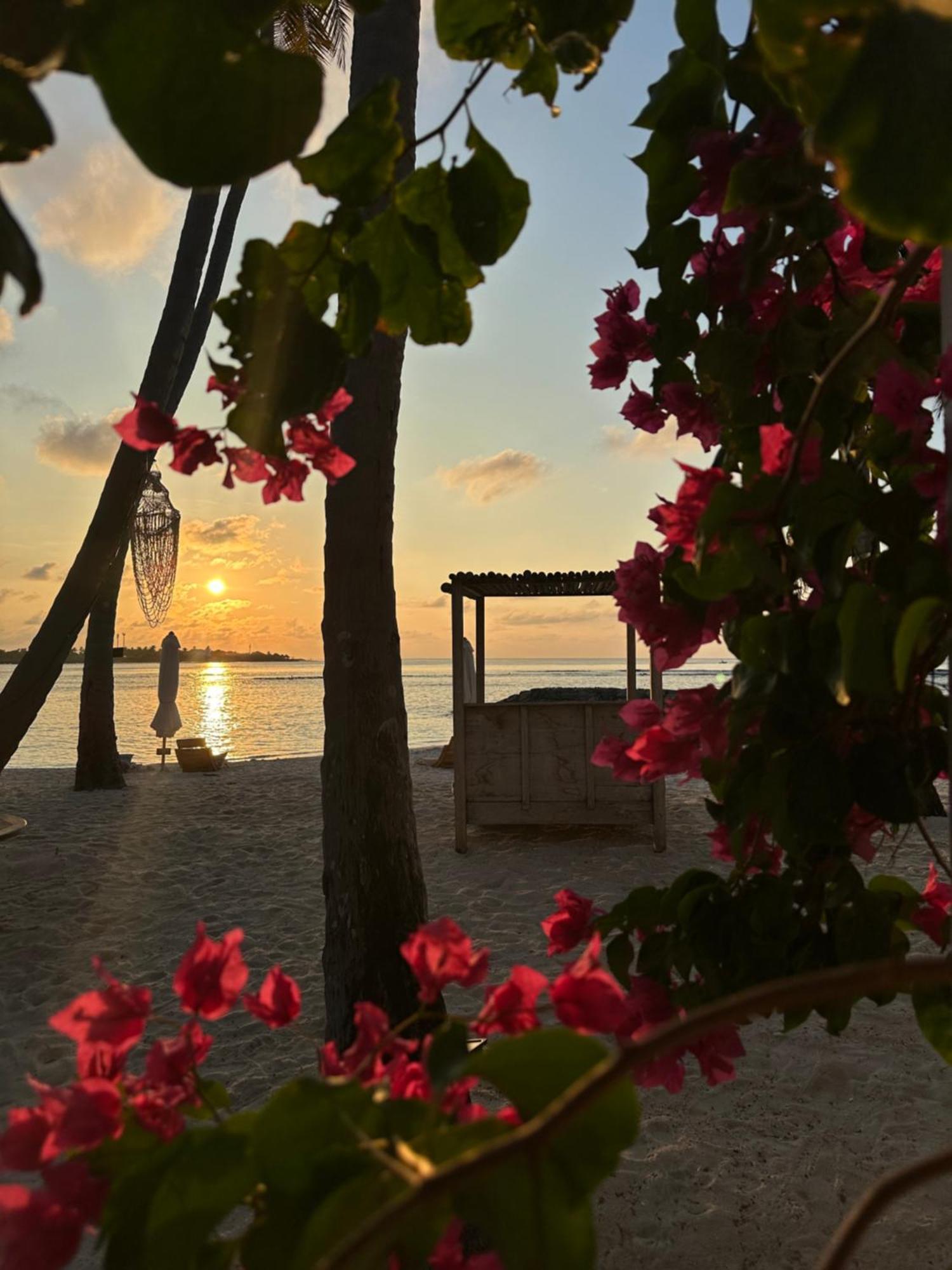 Samura Maldives Guest House Thulusdhoo Exterior foto